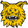 Ilves Tampere
